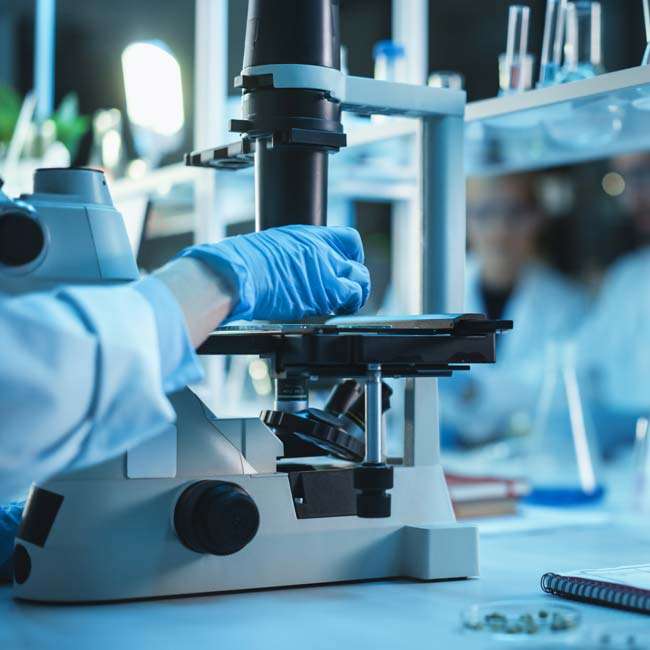 autima universities & research